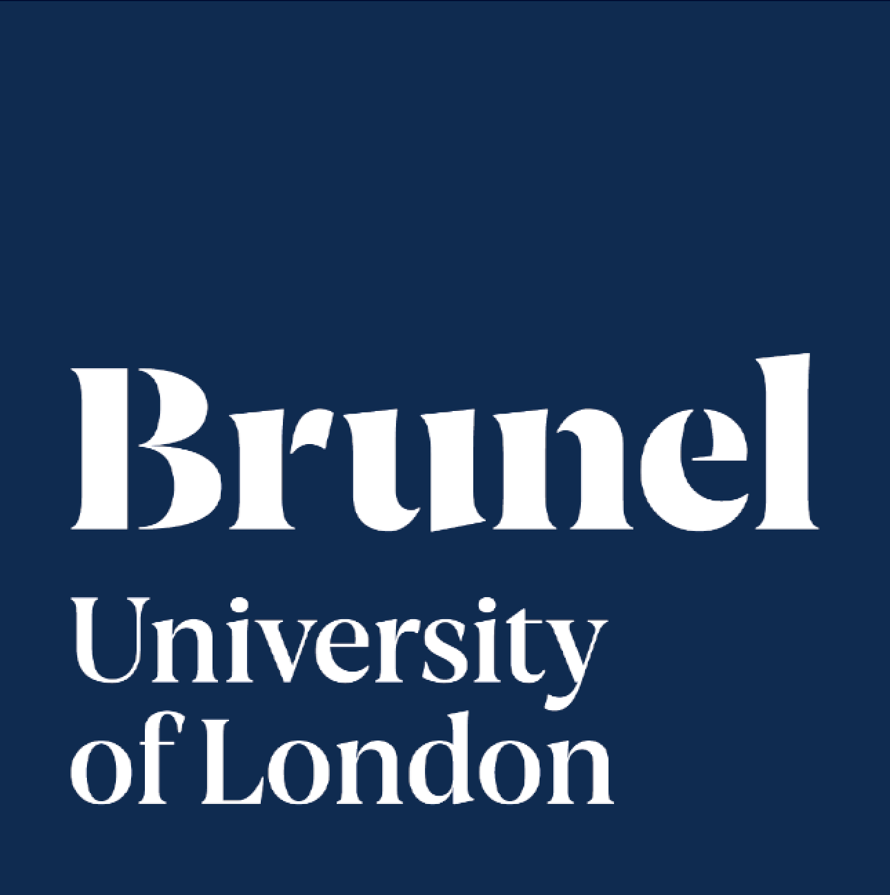 Brunel University